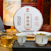 【难忘田】纯正2021年古树茶357克/饼 数量不多，限量捡漏分享【每个id限购10饼】 商品缩略图1
