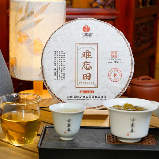 【难忘田】纯正2021年古树茶357克/饼 数量不多，限量捡漏分享【每个id限购10饼】 商品图1
