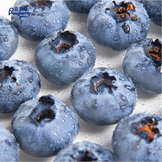 【云南 • 蓝美莓蓝莓】颗颗精选，果粉浓厚，满满花青素，小浆果，大营养，新鲜看的见 商品图1