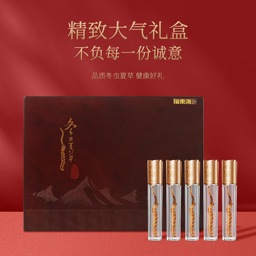 福东海 冬虫夏草礼盒2.5克 10管 精选东虫草无断草高品质礼品 高海拔整草干度足滋补品 商品图2