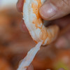 真正海捕大虾🍤顺丰冷链到家！青岛大虾 饱满又鲜嫩！虾体通透个大体肥，虾肉紧致Q弹（毛重四斤） 商品缩略图3