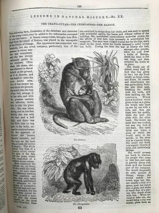 1857年 通俗教育者 数百幅版画插图 真皮精装16开 商品图13