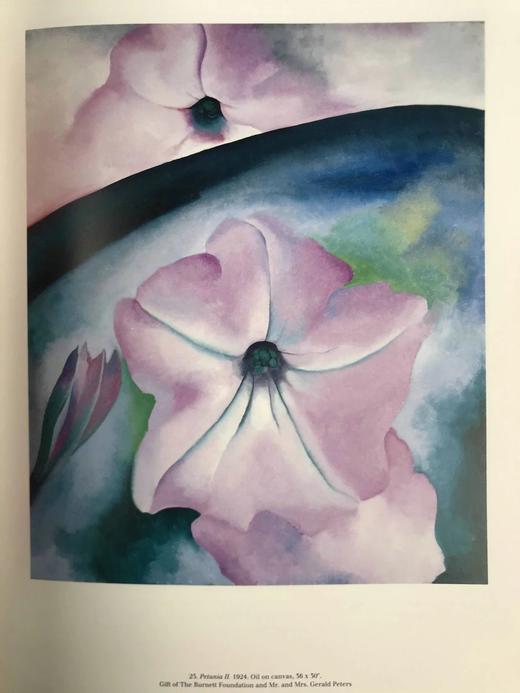 乔治亚·欧姬芙博物馆图集 120幅插图（86幅彩色） 精装大16开 商品图10