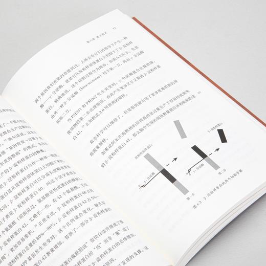 偷走心智的贼：阿尔茨海默病的故事 于涵 著 商品图6