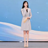 IWY/灰白色V领职业西装连衣裙女气质修身演讲主持人正装工作服Q13323 商品缩略图2