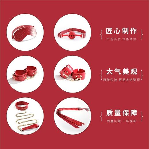 Desire天鹅卷包款SM经典调教套装【8款10件套装】 商品图2