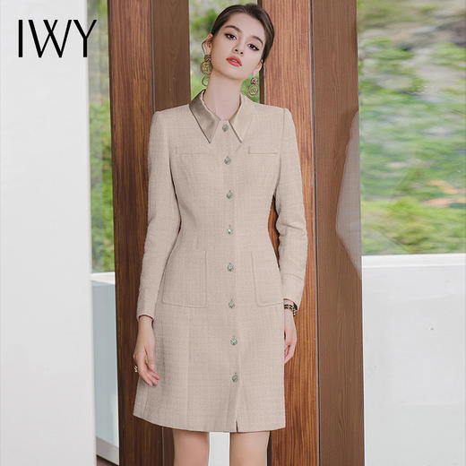 IWY/名媛法式连衣裙女秋冬长袖设计感显瘦长裙气质高端职业裙装工作服Q980 商品图0