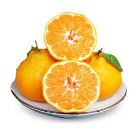 小胖熊粑粑柑 |水果