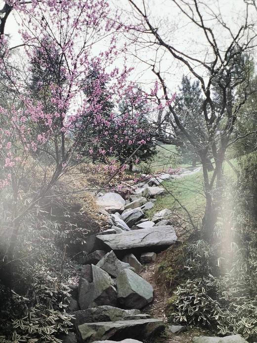 艺术家的花园：从莫奈到巴特利特 132幅彩色插图 精装大16开 商品图12