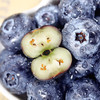 【云南 • 蓝美莓蓝莓】颗颗精选，果粉浓厚，满满花青素，小浆果，大营养，新鲜看的见 商品缩略图0