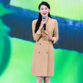 IWY/卡其色双排扣主持人正装女秋冬演讲西装连衣裙修身工作服ol工装Q1004