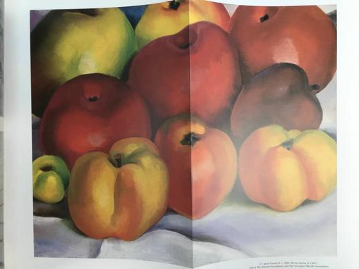 乔治亚·欧姬芙博物馆图集 120幅插图（86幅彩色） 精装大16开 商品图9