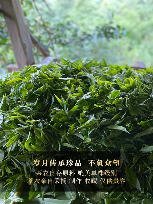 新品上新【薄荷塘】2018年云南易武茶农自采自存 珍稀荒野高杆原料 普洱茶生茶饼357g/饼 单饼铜盒装额外赠送薄荷塘土壤标本1罐 商品图3