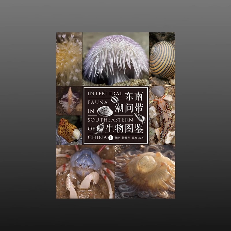 《东南潮间带生物图鉴》套装2册 海洋生物赶海手册科普 rlyl推荐 海峡书局官方正版 直发