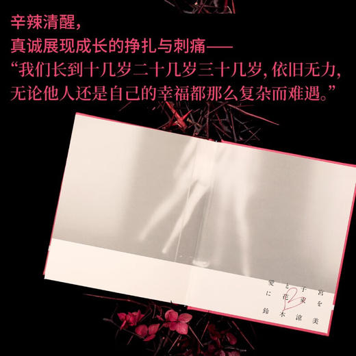 献给爱与子宫的花束（与上野千鹤子合著《始于极限》的铃木凉美，个人代表作中文世界首次出版） 商品图2