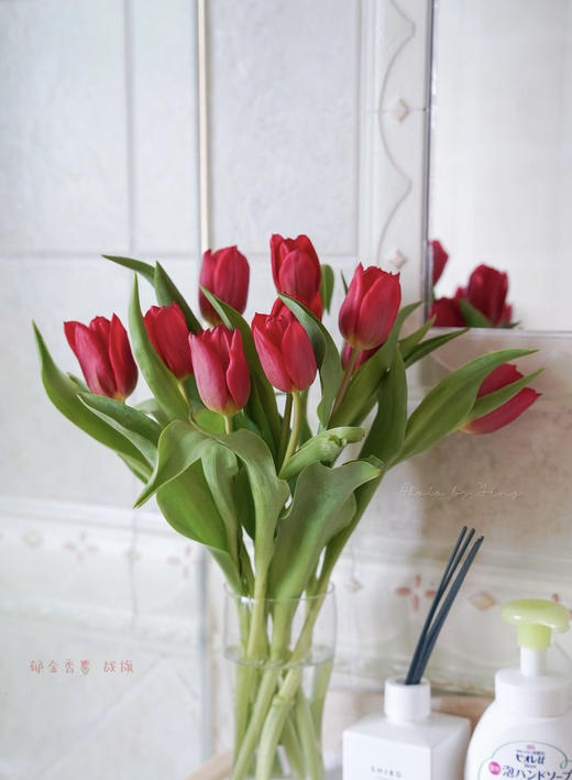 【国产郁金香】红色  约10枝/扎（实际颜色以实物为准） 商品图1