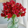 六初花丨红色丨10支 商品缩略图2