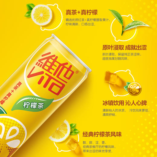 维他 柠檬茶 罐装 聚餐 饮品 茶饮料 送礼 礼盒 310ml*24罐 家庭 囤货 聚餐 包邮 商品图1