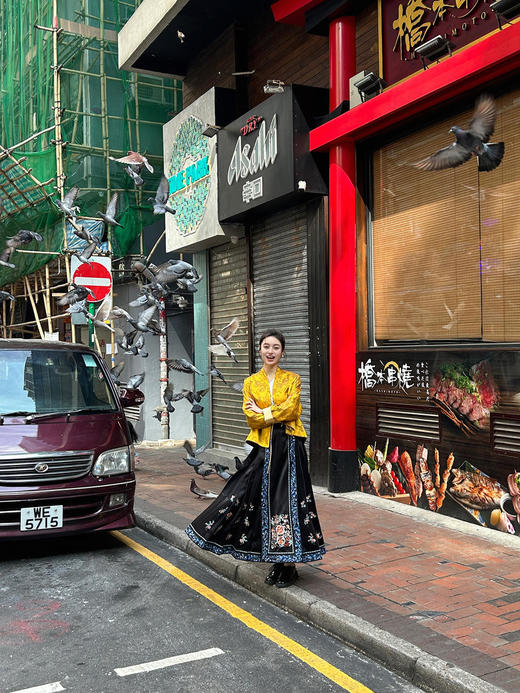 盛唐牡丹 |高货限量款 重缎真丝三蓝绣马面裙 [特价品] 商品图9