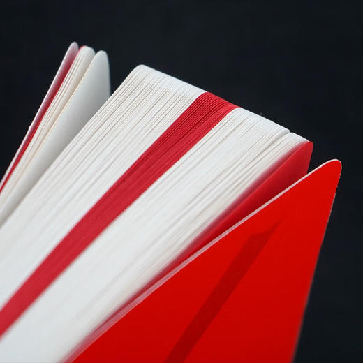 【特价】诗人X（美）伊丽莎白·阿塞韦多 著 商品图8