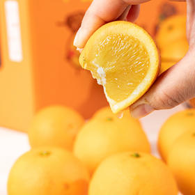 【1.31-2.17快递停发】湖南麻阳冰糖橙