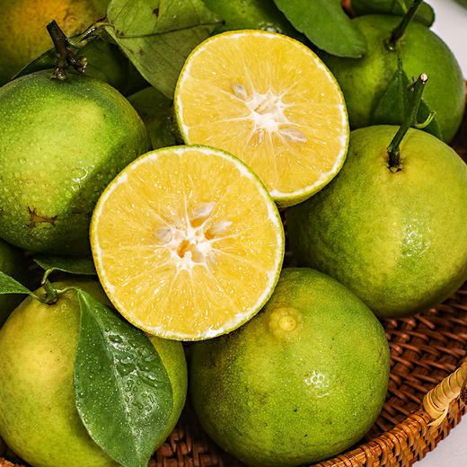 【水果】广东德庆贡柑 商品图0