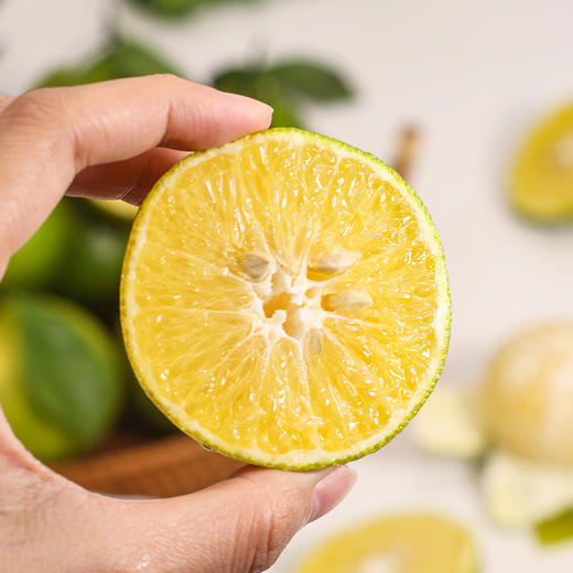 【水果】广东德庆贡柑 商品图3