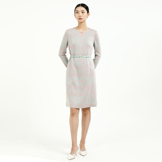 戴布拉芬连衣裙L27A316 商品图1