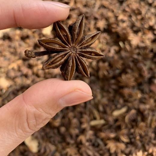 一年一次！真正无硫磺 天然晾晒 野生八角 那份天然香气 来自良心把控 |百里食 商品图0