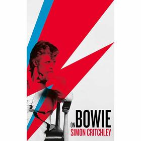 关于鲍伊 大卫鲍伊 人物传记 英文原版 On Bowie