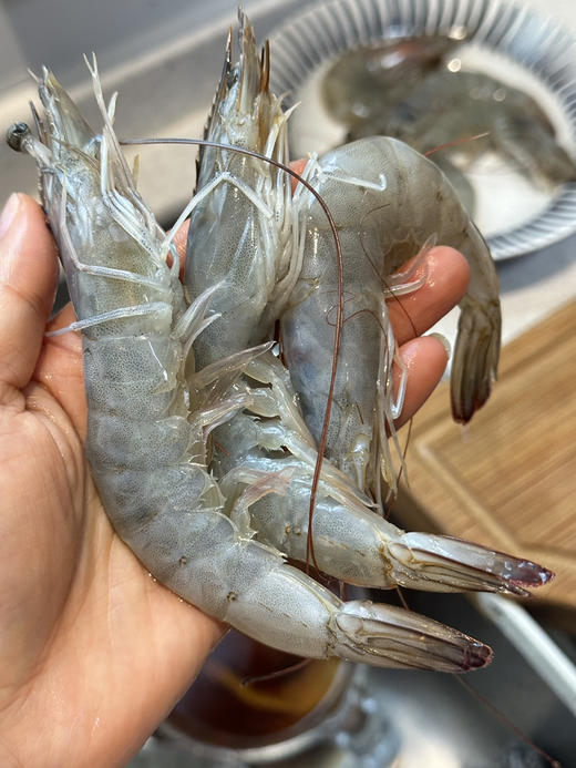 真正海捕大虾🍤顺丰冷链到家！青岛大虾 饱满又鲜嫩！虾体通透个大体肥，虾肉紧致Q弹（毛重四斤） 商品图1