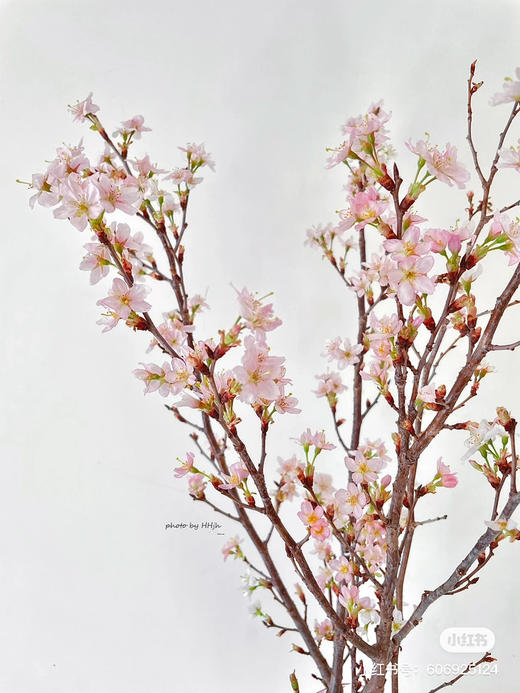日本花材-【樱花枝】3枝装 商品图0
