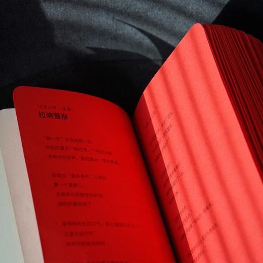 【特价】诗人X（美）伊丽莎白·阿塞韦多 著 商品图5