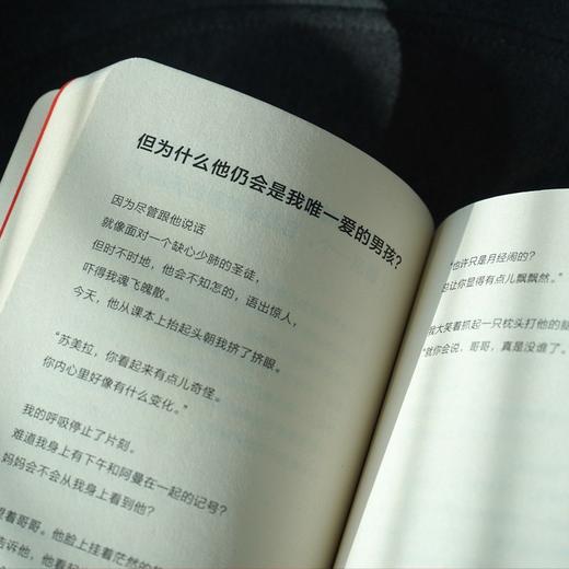 【特价】诗人X（美）伊丽莎白·阿塞韦多 著 商品图4