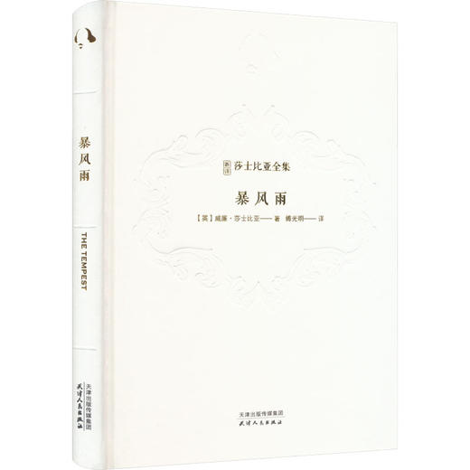 暴风雨 商品图0