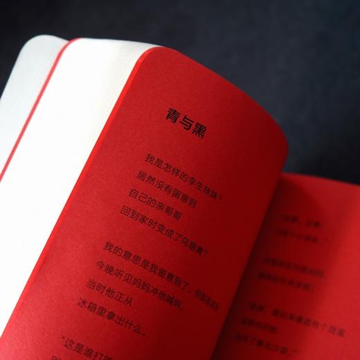 【特价】诗人X（美）伊丽莎白·阿塞韦多 著 商品图6