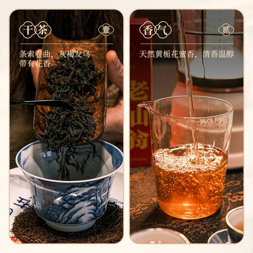 【南上荣】母本一代系列（红黄）老仙翁17g 商品图2