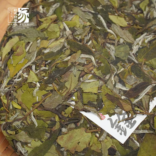 自家系列丨 2022年 鍂白牡丹350g 商品图2