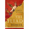 伊利亚特 荷马 英文原版 The Iliad 艾米利·威尔逊译者 Emily Wilson Norton出版社 商品缩略图0