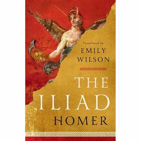 伊利亚特 荷马 英文原版 The Iliad 艾米利·威尔逊译者 Emily Wilson Norton出版社