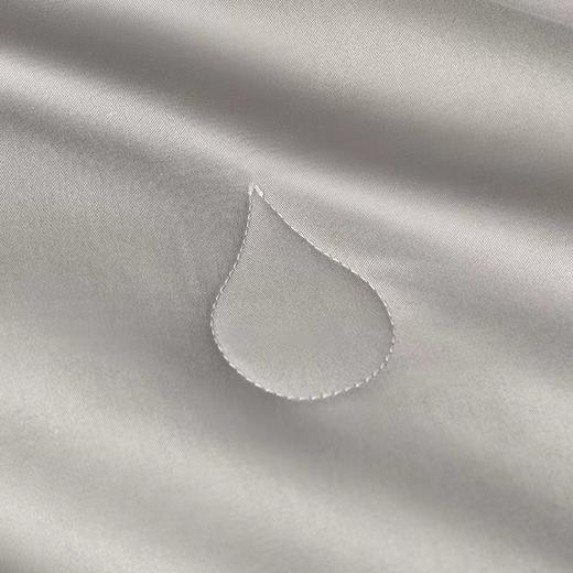 10楼罗莱  尚 A类双核芯蚕丝被-四季吊牌价3999-4999元 活动价1399-1599元 商品图1