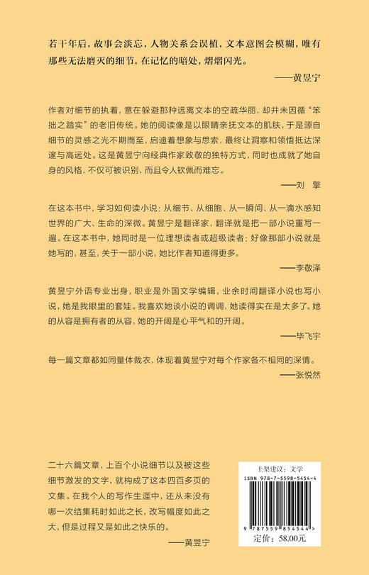 小说的细节：从简·奥斯丁到石黑一雄  黄昱宁 著 商品图2