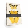 蝴蝶笔记本套装 3本A5笔记本 文创周边 英文原版 Butterfly Notebook Set – 3 A5 lined notebooks with stitched spines 商品缩略图0