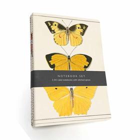 蝴蝶笔记本套装 3本A5笔记本 文创周边 英文原版 Butterfly Notebook Set – 3 A5 lined notebooks with stitched spines