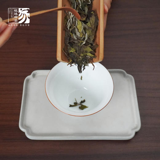 自家系列丨 2022年 鍂白牡丹350g 商品图4