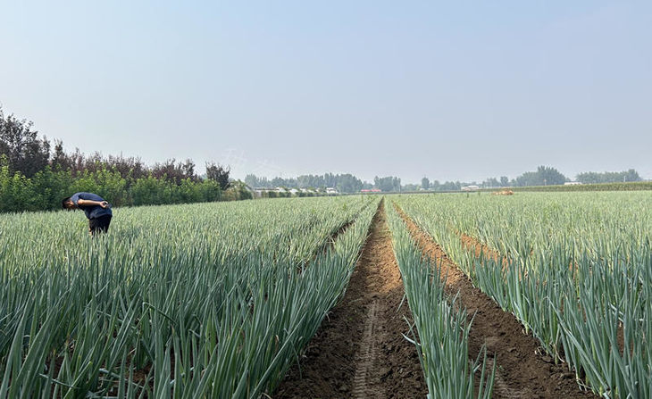 实地指导 实地指导