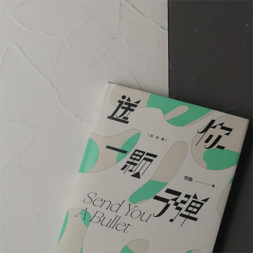 送你一颗子弹 观念的水位民主的细节作者刘瑜著 2023新版 精装 中国当代文学随笔小说杂文集书籍 商品图7