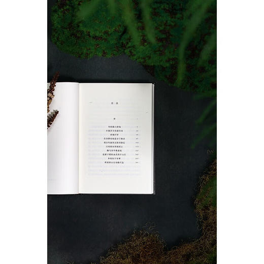 【签名本】月亮照在阿姆河上（一个历史学家在十年间，跨越三个大洲、穿行数万公里的跋山涉海之路。《从大都到上都》作者罗新首部域外旅行随笔集，在音乐、诗歌、传说、工匠技艺中求索意义与真相的旅程） 商品图8