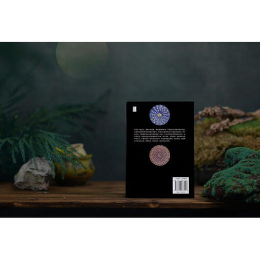 【签名本】月亮照在阿姆河上（一个历史学家在十年间，跨越三个大洲、穿行数万公里的跋山涉海之路。《从大都到上都》作者罗新首部域外旅行随笔集，在音乐、诗歌、传说、工匠技艺中求索意义与真相的旅程） 商品图7