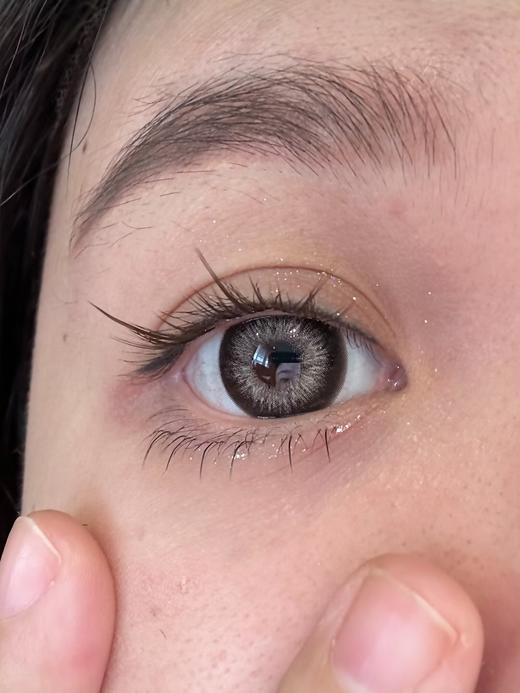 Winni半年抛·Hoshi Black圣塞尔黑·14.5mm中大着色·韩产2片 商品图6